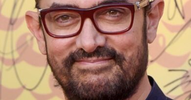 Why is Aamir Khan on a break from his career?