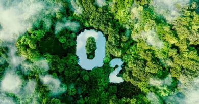 What will happen if O2 increases?