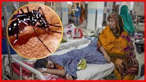 Number of dengue patients in Bangladesh crosses 1000