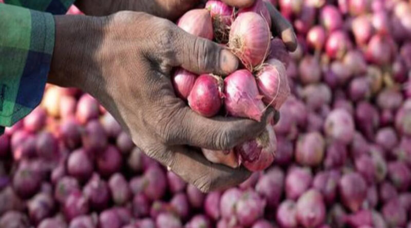 Now onion will become more expensive