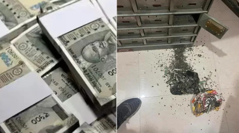 Shocking news, you will also be stunned to know that a woman kept Rs 18 lakh in her bank locker for her daughter's wedding, which was eaten away by termites.