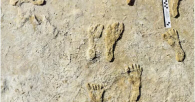 1 lakh year old footprints found, this is what we humans once looked like