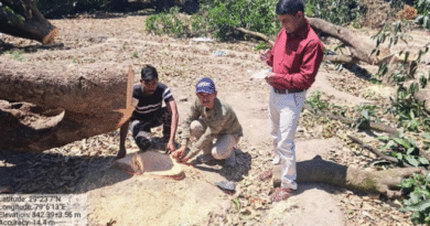 Ramnagar: कॉलोनी बनाने के लिए 12 बीघा बगीचे में 60 पेड़ों पर चला दी आरी, बगीचा स्वामी के खिलाफ FIR दर्ज