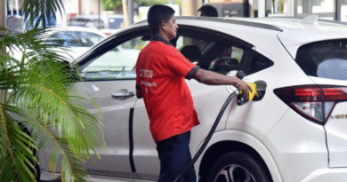 भारत सरकार ने E85 और E100 फ्यूल के लिए पेश किया प्रस्ताव, जानें क्या है योजना