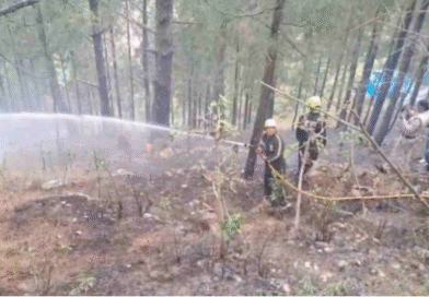 Chamoli: ग्वीलों गांव के जंगलों में भड़की आग, लोगों में मची अफरातफरी, एक घंटे की कड़ी मशक्कत के बाद बुझाई गई