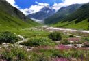 उत्तराखंड: एक जून से सैलानी कर सकेंगे वैली ऑफ फ्लावर का दीदार, तैयारियां तेज