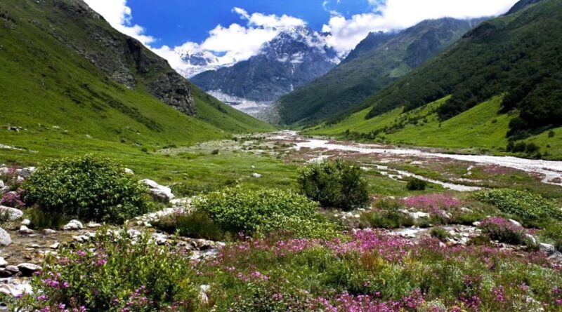 उत्तराखंड: एक जून से सैलानी कर सकेंगे वैली ऑफ फ्लावर का दीदार, तैयारियां तेज