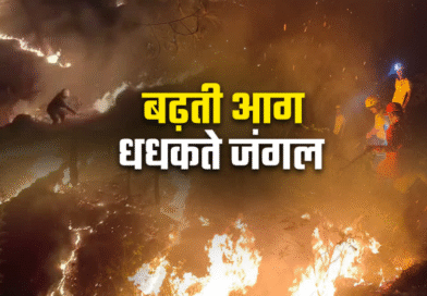 उत्तराखंड के जंगलों में आग का भयंकर तांडव, 3 महीने में 300 घटनाएं रिकार्ड, 239 हेक्टेयर वन क्षेत्र राख