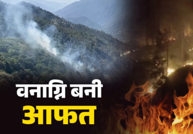 उत्तराखंड में वनाग्नि का कहर, गढ़वाल मंडल में रिकॉर्ड घटनाएं हुईं दर्ज, फिलहाल बारिश ने दी राहत