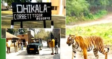 कॉर्बेट पार्क का ढिकाला जोन आज से पर्यटकों के लिए हुआ बंद, नाइट स्टे और पर्यटन गतिविधियों पर लगेगा विराम