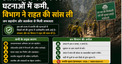 उत्तराखंड में वनाग्नि की घटनाओं में कमी, विभाग ने राहत की सांस ली