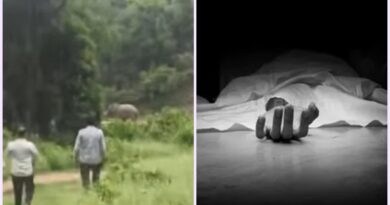 श्यामपुर रेंज में हाथी का तांडव, ग्रामीण को पटक-पटककर मारा, खौफजदा लोग