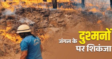 उत्तराखंड में जंगल के दुश्मनों पर ताबड़तोड़ कार्रवाई, चार महीने में 166 मामले दर्ज, आप न करें ये गलती