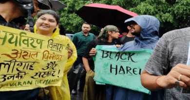 उत्तराखंड में हरेला पर्व से पहले चर्चाओं में ‘Black Harela’ अभियान, पेड़ कटान पर फूटा युवाओं का गुस्सा