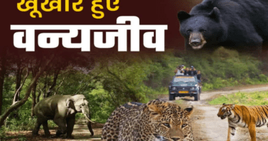वन्यजीव संघर्ष के लिए बनेगी जनपद स्तरीय कमेटी, पंचायतों की भूमिका को मजबूत करने पर होगा बल
