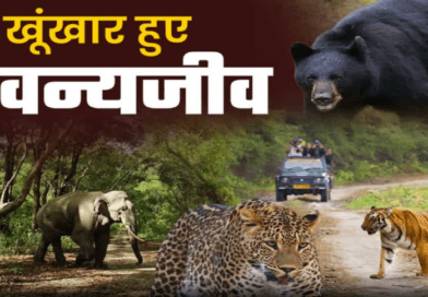 वन्यजीव संघर्ष के लिए बनेगी जनपद स्तरीय कमेटी, पंचायतों की भूमिका को मजबूत करने पर होगा बल