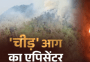 वन विभाग के नए अध्ययन ने खोला जंगलों में आग का राज, चीड़ बना सबसे बड़ा फायर हॉटस्पॉट, मिश्रित वन पर भी संकट