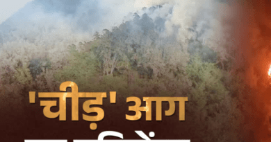 वन विभाग के नए अध्ययन ने खोला जंगलों में आग का राज, चीड़ बना सबसे बड़ा फायर हॉटस्पॉट, मिश्रित वन पर भी संकट
