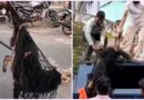 रुद्रप्रयाग-अगस्त्यमुनि में स्ट्रीट डॉग का आतंक, 24 लोगों को काटा, क्षेत्र में दहशत का माहौल