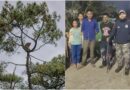 उत्तराखंड में पेड़ पर बैठा दिखा तेंदुआ, ग्रामीणों में दहशत, वन विभाग ने बढ़ाई गश्त