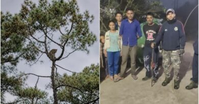 उत्तराखंड में पेड़ पर बैठा दिखा तेंदुआ, ग्रामीणों में दहशत, वन विभाग ने बढ़ाई गश्त