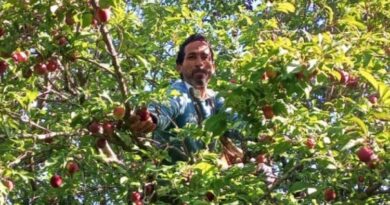 उत्तराखंड में फल और सब्जी उत्पादकों को मिलेगा आधुनिक कोल्ड स्टोरेज का लाभ, किसानों की आय बढ़ाने की दिशा में बड़ी पहल