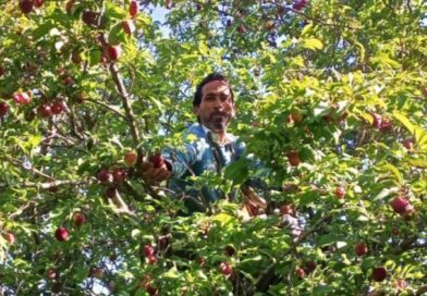 उत्तराखंड में फल और सब्जी उत्पादकों को मिलेगा आधुनिक कोल्ड स्टोरेज का लाभ, किसानों की आय बढ़ाने की दिशा में बड़ी पहल