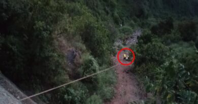 विकासनगर के त्यूणी में भीषण हादसा, 300 मीटर गहरी खाई में गिरी कार, 1 की मौत, दो लोग घायल