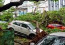 अर्नब तूफान ने आंध्र में मचायी तबाही, छह की मौत, 126 KM सड़क डैमेज, 1058 पेड़, बिजली खंभे-तार हुए तबाह